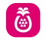 sophia.wong@blinkpay.co.nz